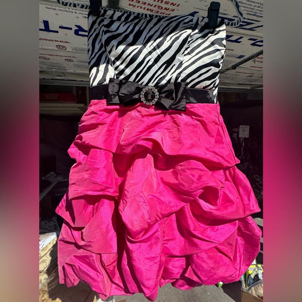 Trixxi Zebra Dress